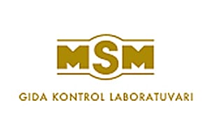 MSM